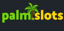 PalmSlots Logo